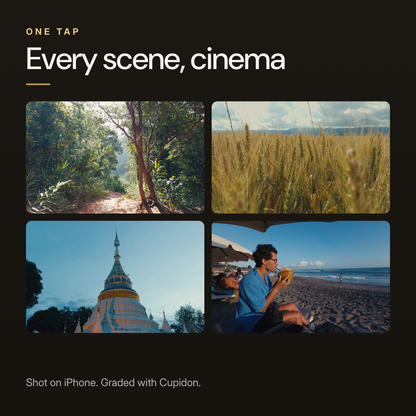 Cupidon Cinema | iPhone LUT